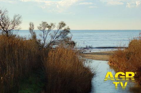 L’erosione marina minaccia la riserva di Macchiatonda L’erosione marina minaccia la riserva di Macchiatonda