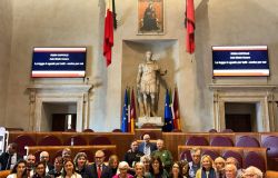 Roma Campidoglio, nasce la rete dei Sindaci degli animali Roma Campidoglio, nasce la rete dei Sindaci degli animali