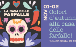 Día de los Muertos a La Casa delle Farfalle di Roma: la festa messicana dedicata alle magiche creature