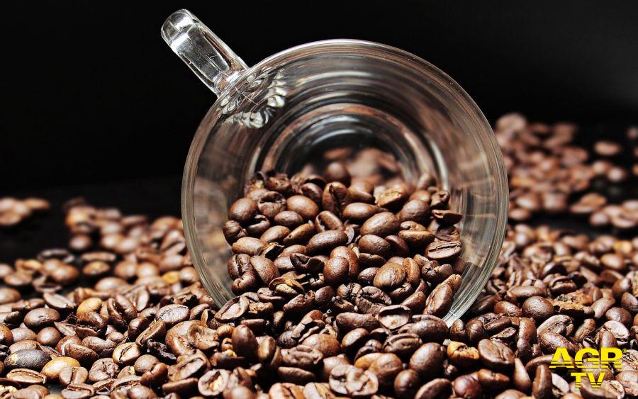 caffè foto pixabay caffè foto pixabay
