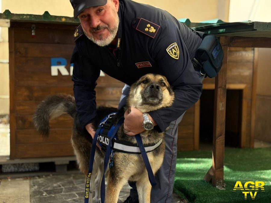 Polizia cinofili Rex Polizia cinofili Rex