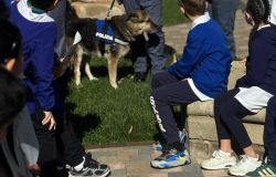 Polizia cinofili Rex con i bambini Polizia cinofili Rex con i bambini