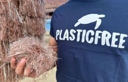 Pescara: stop agli ombrelloni in rafia sintetica, una svolta per l'ambiente Pescara: stop agli ombrelloni in rafia sintetica, una svolta per l'ambiente