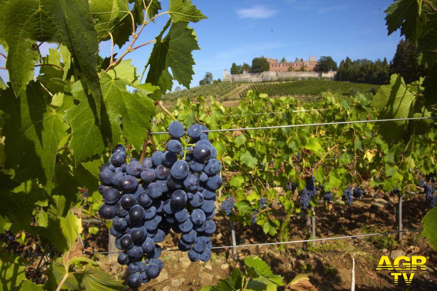 Castello_di_Brolio_(vino_Ricasoli) Castello_di_Brolio_(vino_Ricasoli)