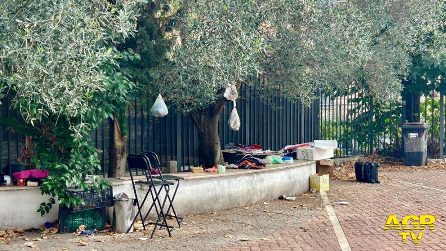 mun15-cassia724 mun15-cassia724