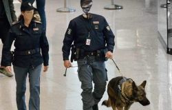 Fiumicino, arrestato corriere della droga con 48 ovuli nello stomaco, arrivava da San Paolo