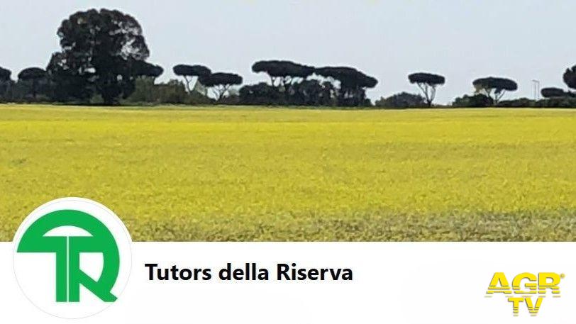 Tutors della Riserva Naturale del Litorale Romano Tutors della Riserva Naturale del Litorale Romano