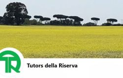 Tutors della Riserva: sentinelle dell’ambiente e del territorio – Inaugurata la nuova sede presso l’Azienda Agricola Biodinamika in via dei Pescatori, 133.