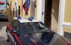 NAS Carabinieri Cosenza, maxi operazione sulla sicurezza alimentare: scoperta macellazione clandestina di cavalli. Un arresto e cinque persone denunciate