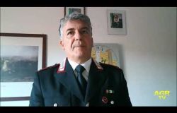 NAS Carabinieri Cosenza, maxi operazione sulla sicurezza alimentare: scoperta macellazione clandestina di cavalli. Un arresto e cinque persone denunciate