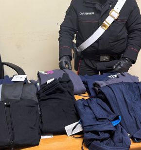 Artena, arrestate 4 persone, due mentre smontavano parti meccaniche di un autocarro e due per furto di capi d'abbigliamento Artena, arrestate 4 persone, due mentre smontavano parti meccaniche di un autocarro e due per furto di capi d'abbigliamento