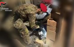 Bianco: cane Manco trova oltre 1,7 kg di droga