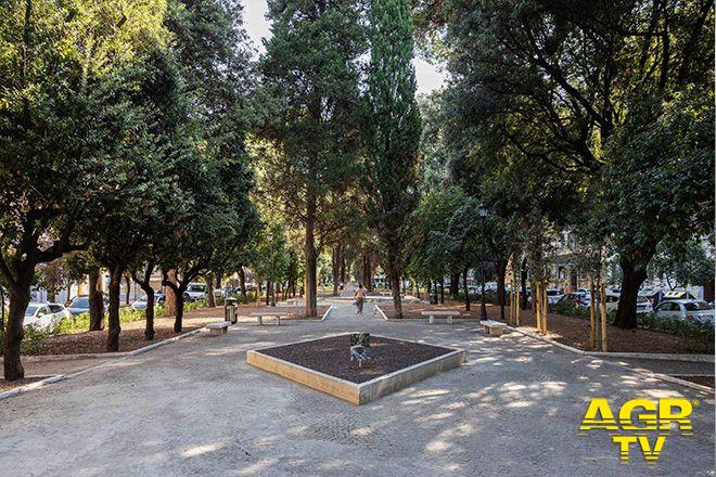 alberature piazza mazzini foto comune di Roma