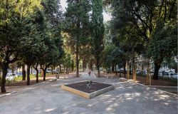 Roma, al via gli interventi di riqualificazione delle alberature su piazza Mazzini, ampliati i filari con 196 nuovi alberi