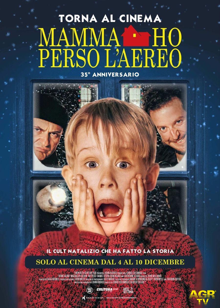 mamma ho perso l'aereo locandina film