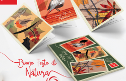La Natura è una storia preziosa....scegli per fare gli auguri i biglietti di Natale della Lipu