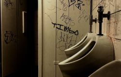 Roma, Mussolini (FI): Orrore e follia...al Giulio Cesare una lista di studentesse da stuprare nei bagni dei maschi