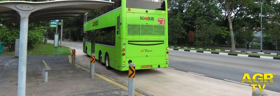 fermata bus foto pixabay fermata bus foto pixabay