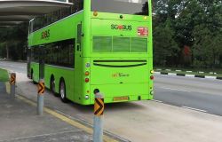 Fiumicino, FI: mettere in sicurezza pensiline autobus sulla via Aurelia