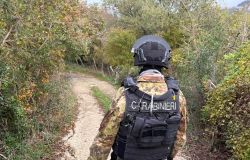 Allumiere e Civitavecchia, nel mirino le piazze di spaccio, controlli e sequestri nell'area boschiva dei Pontoni, due arresti