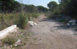 Roma, la Commissione ambiente si riunisce ad Ostia