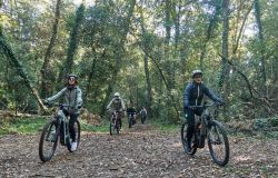 (AGR) Dai Monti Lepini al mare...Un Natale tra arte, tradizioni e territorio