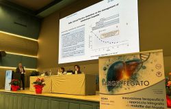 Target Fegato 2025 a Roma - , trapianti e allarme alcolismo - Convegno San Camillo Forlanini