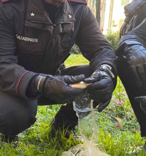 (AGR) Roma, operazione antidroga dei Carabinieri al Quarticciolo, scoperti i nascondigli dei pusher, 11 arresti (AGR) Roma, operazione antidroga dei Carabinieri al Quarticciolo, scoperti i nascondigli dei pusher, 11 arresti