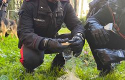 (AGR) Roma, operazione antidroga dei Carabinieri al Quarticciolo,  scoperti i nascondigli dei pusher, 11 arresti