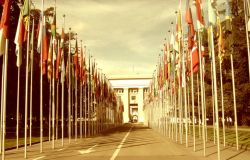 Giornata Internazionale dei Diritti Umani foto da comunicato stampa