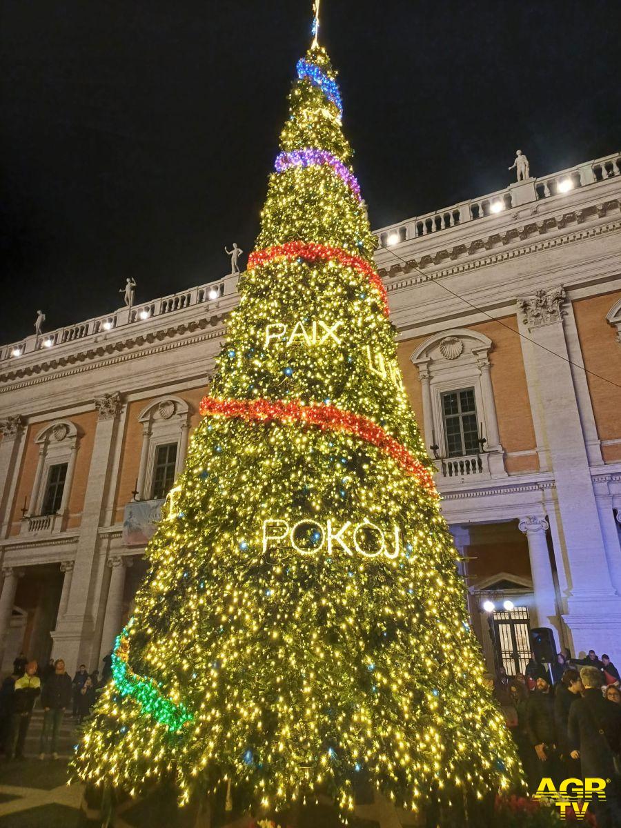 Albero della Pace in Campidoglio Albero della Pace in Campidoglio