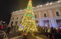 Albero della Pace in Campidoglio