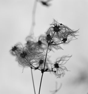 (AGR) Con gli occhi di un artista  Rome Contemporary 2025, dal 15 dicembre al 15 gennaio a Rosso Cinabro