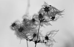 (AGR) Con gli occhi di un artista  Rome Contemporary 2025, dal 15 dicembre al 15 gennaio a Rosso Cinabro