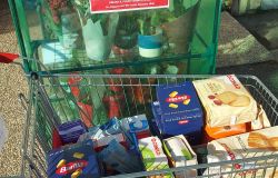 Raccolta alimentare Yokohama a Tivoli e Guidonia  -  Foto da Comunicato