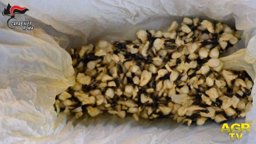 droga probabilmente destinata a rifornire le piazze di spaccio di Ostia in vista delle festività di fine anno droga probabilmente destinata a rifornire le piazze di spaccio di Ostia in vista delle festività di fine anno