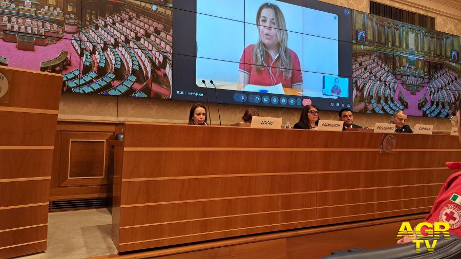 Debora Diodati, Vicepresidente Nazionale della Croce Rossa Italiana Debora Diodati, Vicepresidente Nazionale della Croce Rossa Italiana