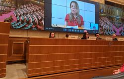 Debora Diodati, Vicepresidente Nazionale della Croce Rossa Italiana