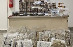 (AGR) Roma, maxi sequestro della Polizia, sequestrati 115 kg di droga tra hashish, marjuana e cocaina
