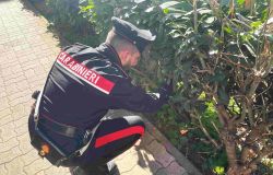Carabinieri controlli antidroga nei quartieri