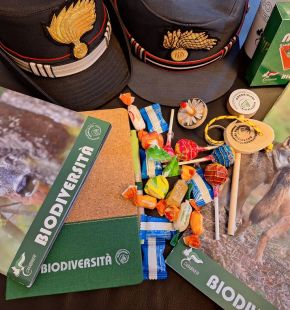 (AGR) Epifania 2026, solidarietà e educazione ambientale negli ospedali pediatrici con i Carabinieri Forestali (AGR) Epifania 2026, solidarietà e educazione ambientale negli ospedali pediatrici con i Carabinieri Forestali