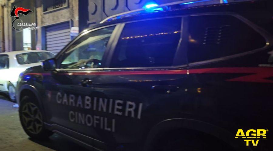 Carabinieri Catania: Nucleo Cinofili di Nicolosi