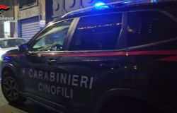 Carabinieri Catania: Nucleo Cinofili di Nicolosi