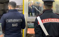 (AGR) Roma Torrino, prevenzione microcriminalità e controllo esercizi commerciali, 6 persone denunciate