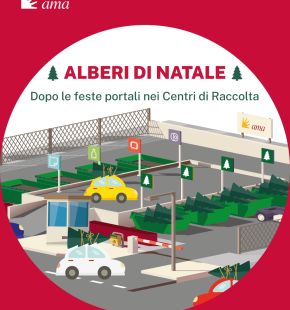 (AGR) AMA, al via la raccolta straordinaria degli alberi di Natale naturali