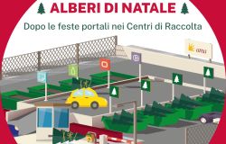 (AGR) AMA, al via la raccolta straordinaria degli alberi di Natale naturali