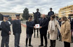 (AGR) Roma, le pattuglie di Polizia a cavallo nei parchi cittadini saranno dotate di un defibrillatore
