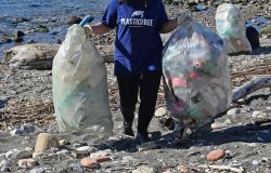 plastic  free raccolta sacchi plastica foto da comunicato stampa