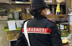 Carabinieri Colleferro controlli