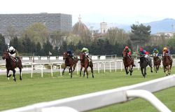 Firenze. controlli antidroga dei Carabinieri all’ippodromo “Le Mulina”